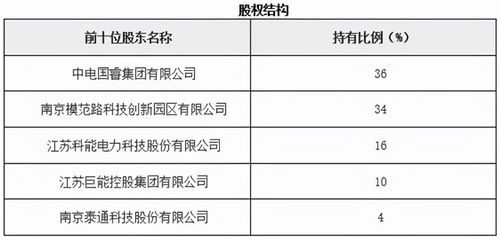 江蘇南京物聯網技術服務公司股權招投標代理服務解析